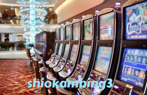 shiokambing3 Live Sportsbook Markets at Your Fingertips