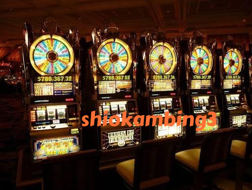 shiokambing3 Live Game Shows at shiokambing3