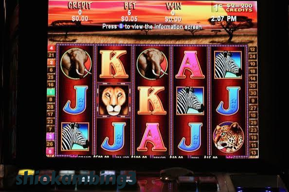 shiokambing3 Live Casino Tables Built for Indonesia